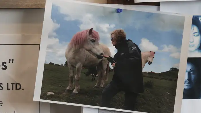 download game of thrones: the last watch (2019) {english with subtitles} 480p [400mb] | 720p [850mb] | 1080p [2.2gb]