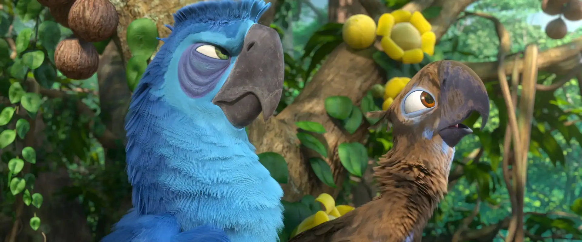download rio 2 (2014) dual audio {hindi-english} 480p [350mb] | 720p [1gb] | 1080p