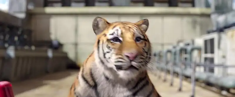 download tiger robbers (2021) web-dl dual audio {hindi-chinese} 480p [380mb] | 720p [960mb] | 1080p [1.8gb]