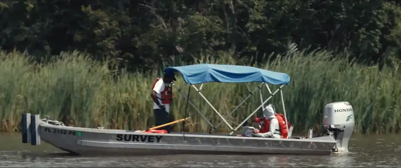 download descendant (2022) web-dl netflix original dual audio {hindi-english} 480p [350mb] | 720p [1gb] | 1080p [2.3gb]