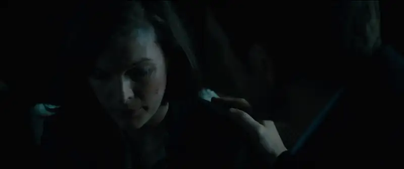 download survivor (2015) bluray dual audio {hindi-english} 480p [300mb] | 720p [800mb] | 1080p [3gb]