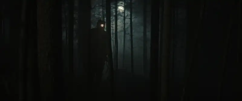 download the silent forest (2022) bluray dual audio {hindi-german} 480p [350mb] | 720p [850mb] | 1080p [2gb]