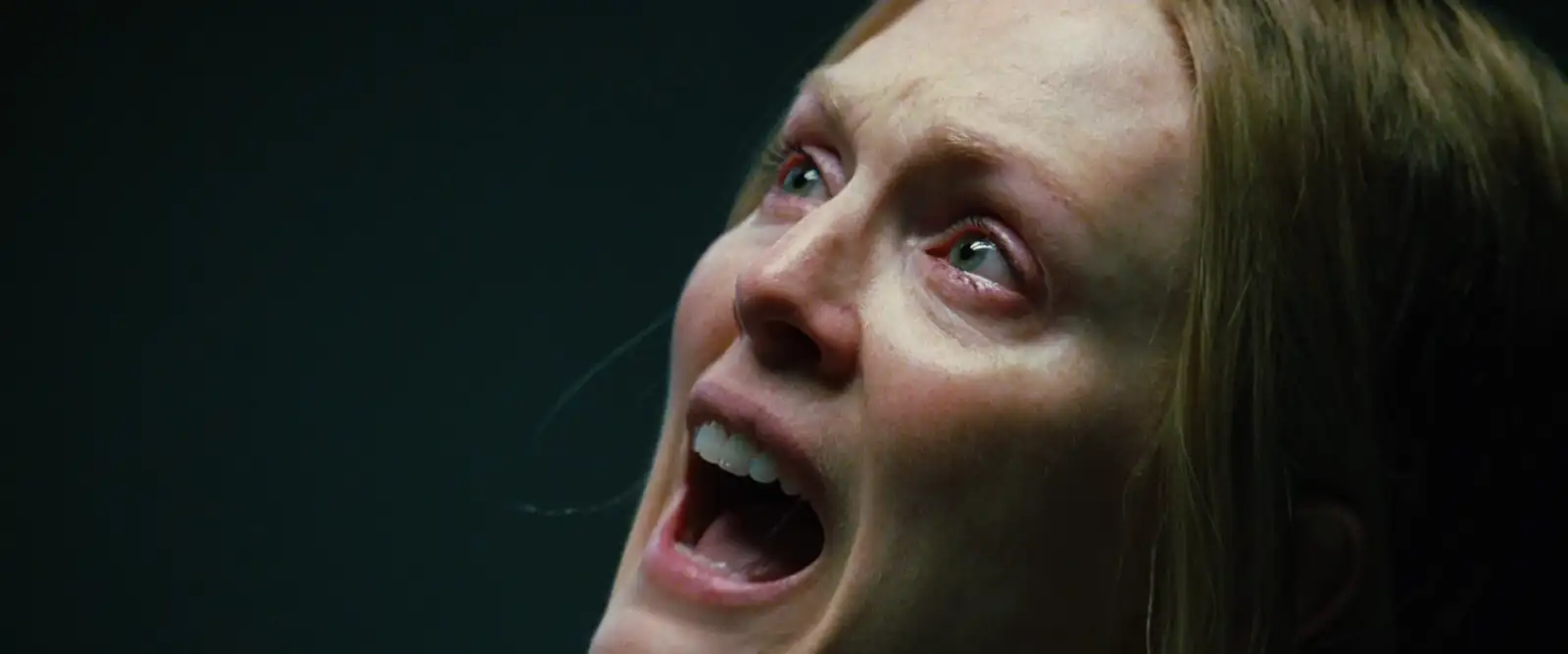 download freedomland (2006) dual audio [hindi + english] web-dl 480p [400mb] | 720p [1gb] | 1080p [2.3gb]