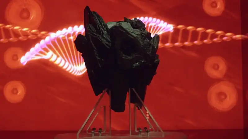 download mech-x4 (2018) season 1 [complete] dual audio {hindi-english} 480p | 720p web-dl