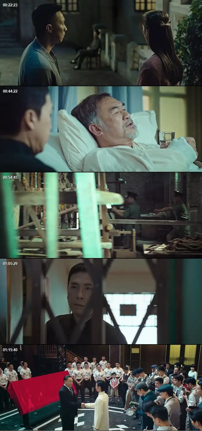 download ip man 3 (2015) dual audio [hindi + chinese] web-dl 480p [350mb] | 720p [900mb] | 1080p [2.1gb]