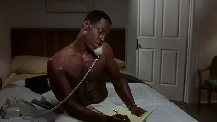 download wild things 2 (2004) dual audio {hindi-english} 480p [300mb] | 720p [700mb] | 1080p [1.5gb]