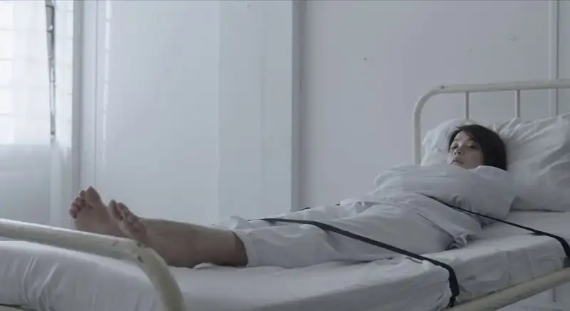 download two sisters (2019) web-dl dual audio {hindi-chinese} 480p [310mb] | 720p [890mb] | 1080p [2.1gb]