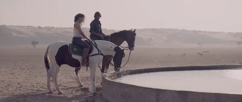 screenshot f59a66 mirzya 2016