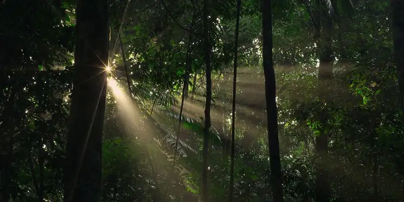 download the lost children (2024) web-dl multi audio (hindi-english-spanish) 480p [350mb] | 720p [970mb] | 1080p [2.2gb]