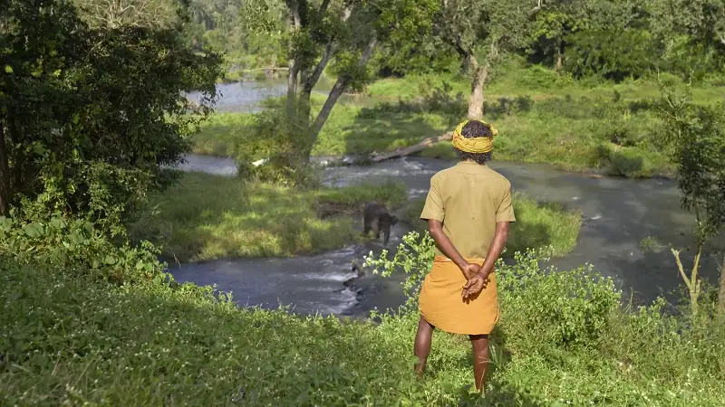 screenshot fbcce1 the elephant whisperers 2022