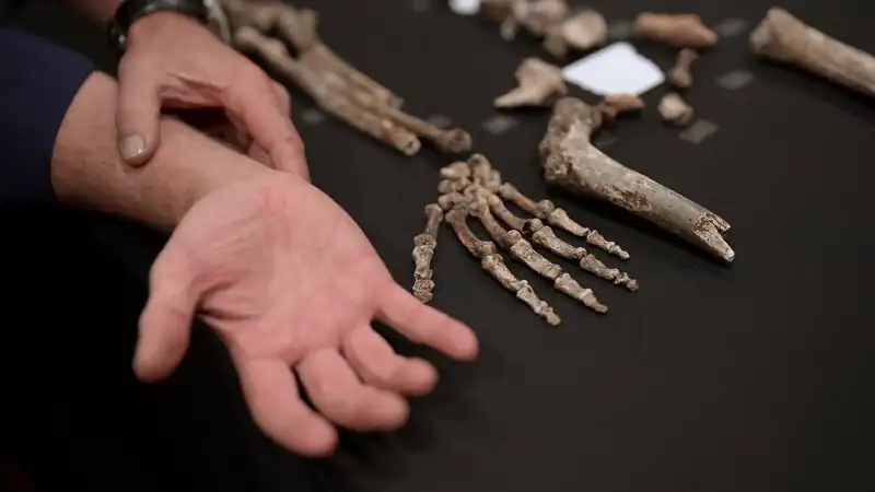 download unknown: cave of bones (2023) web-dl dual audio {hindi-english} 480p [320mb] | 720p [850mb] | 1080p [2gb]