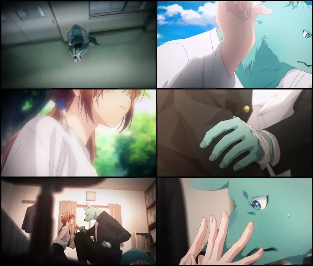 screenshot fcda46 kimi to koete koi ni naru season 1